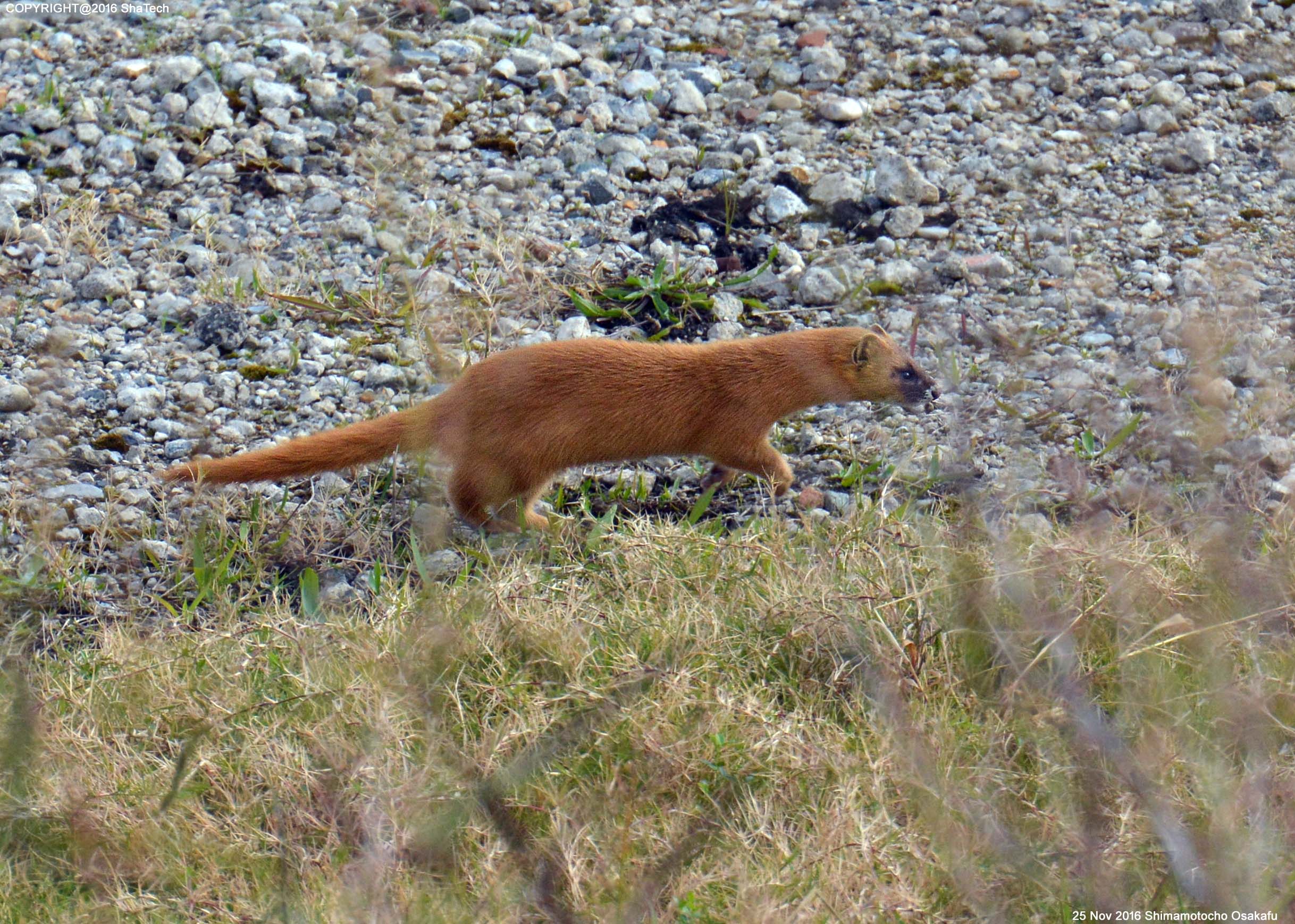 �z���h�C�^�`