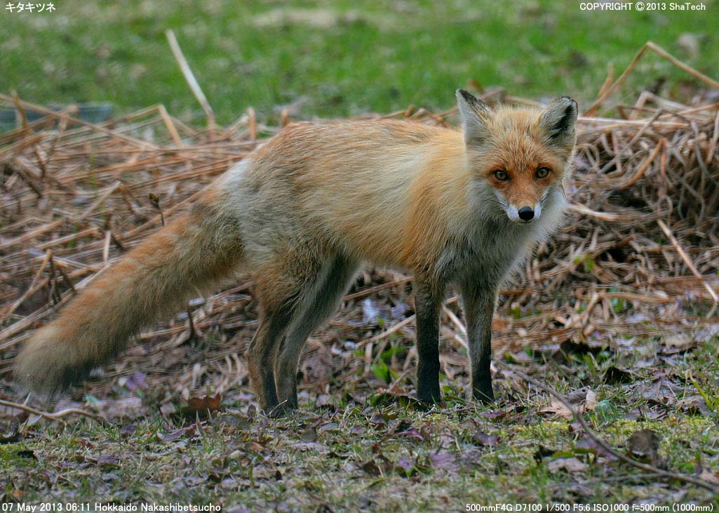 �L�^�L�c�l