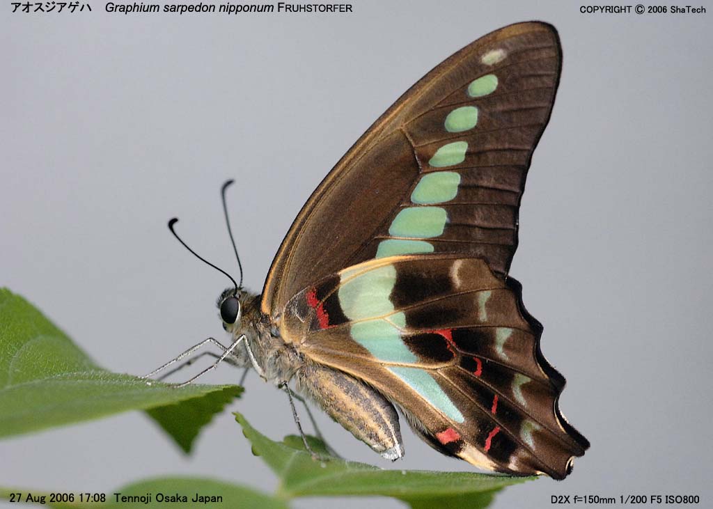 �A�I�X�W�A�Q�n�W�X�T�X