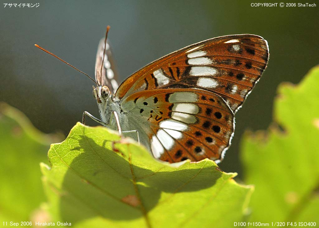 �A�T�}�C�`�����W�P�Q�R�W