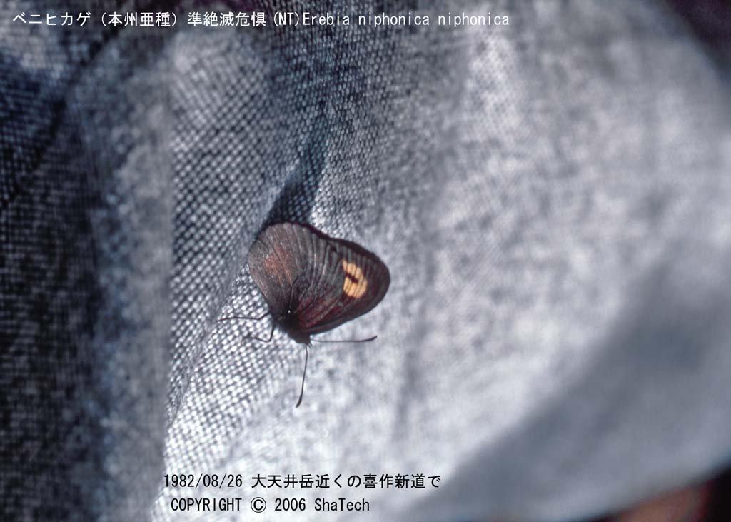 �x�j�q�J�Q�Q