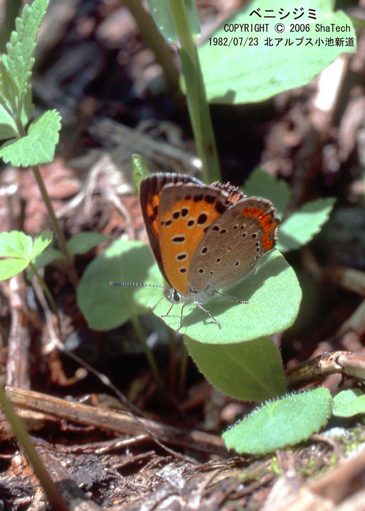 �x�j�V�W�~�T