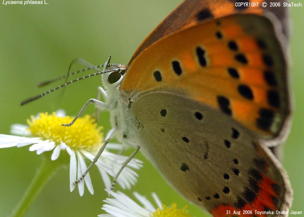 �x�j�V�W�~9534