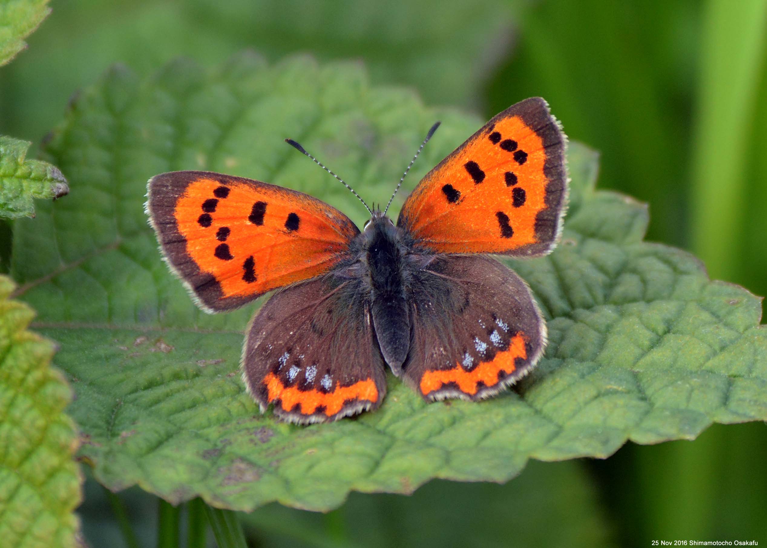 �x�j�V�W�~