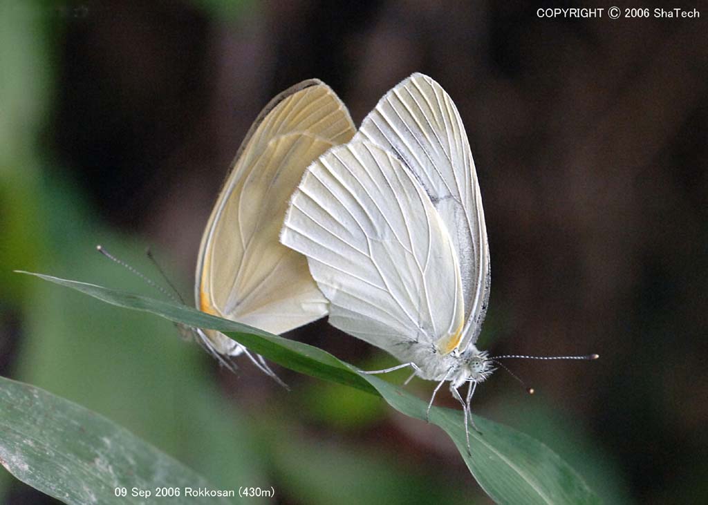 �G�]�X�W�O���V���`���E�X�X�U�U