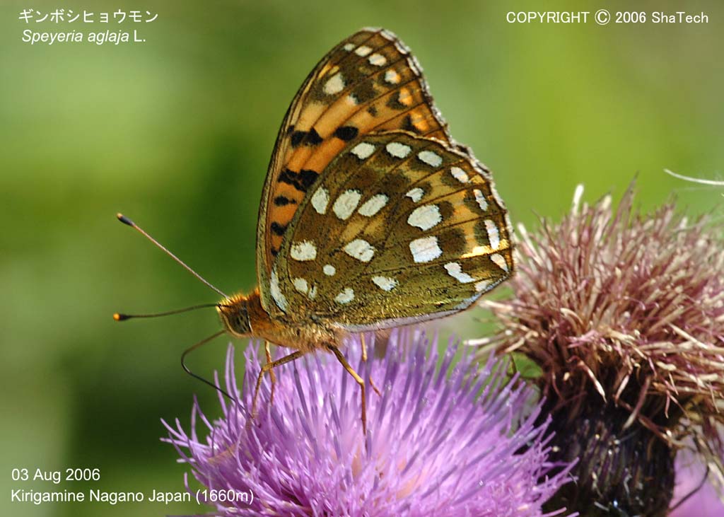 �M���{�V�q���E����8020