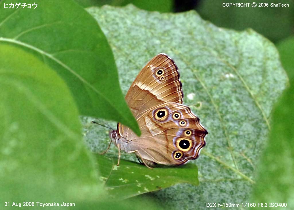 �q�J�Q�`���E9287