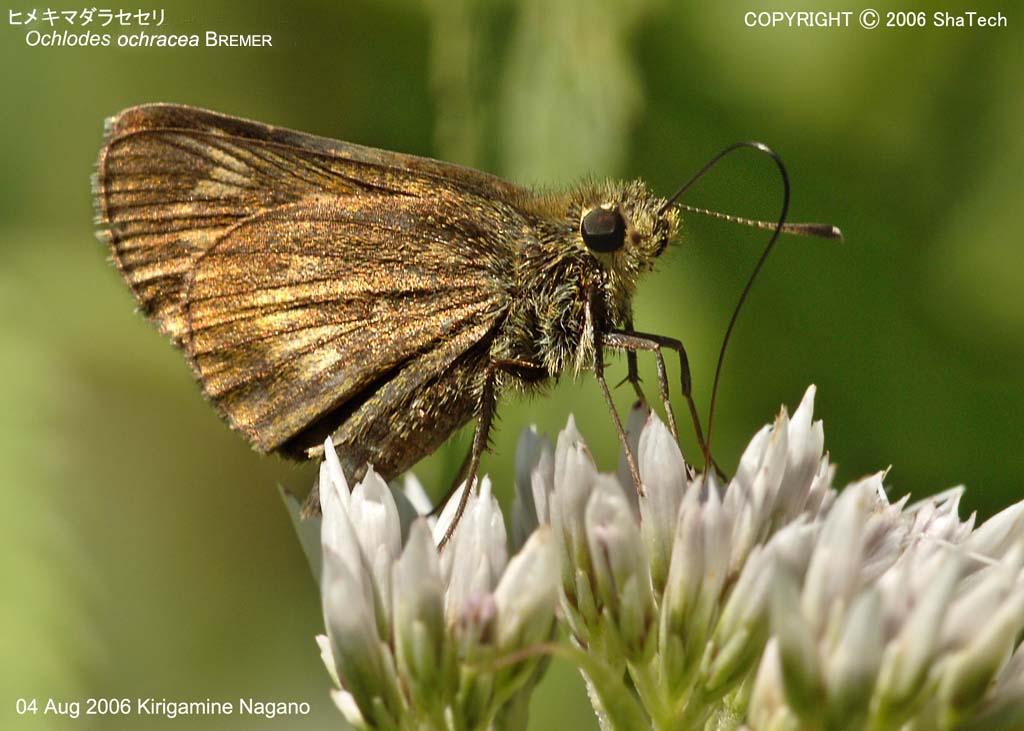 �q���L�}�_���Z�Z��8455