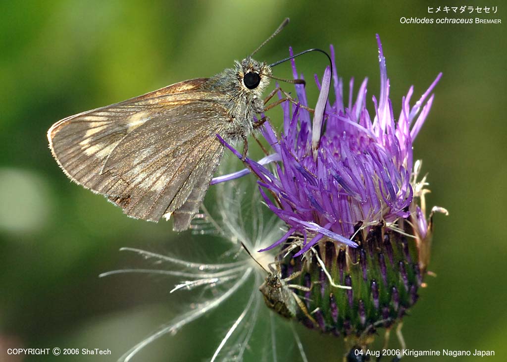 �q���L�}�_���Z�Z��8543