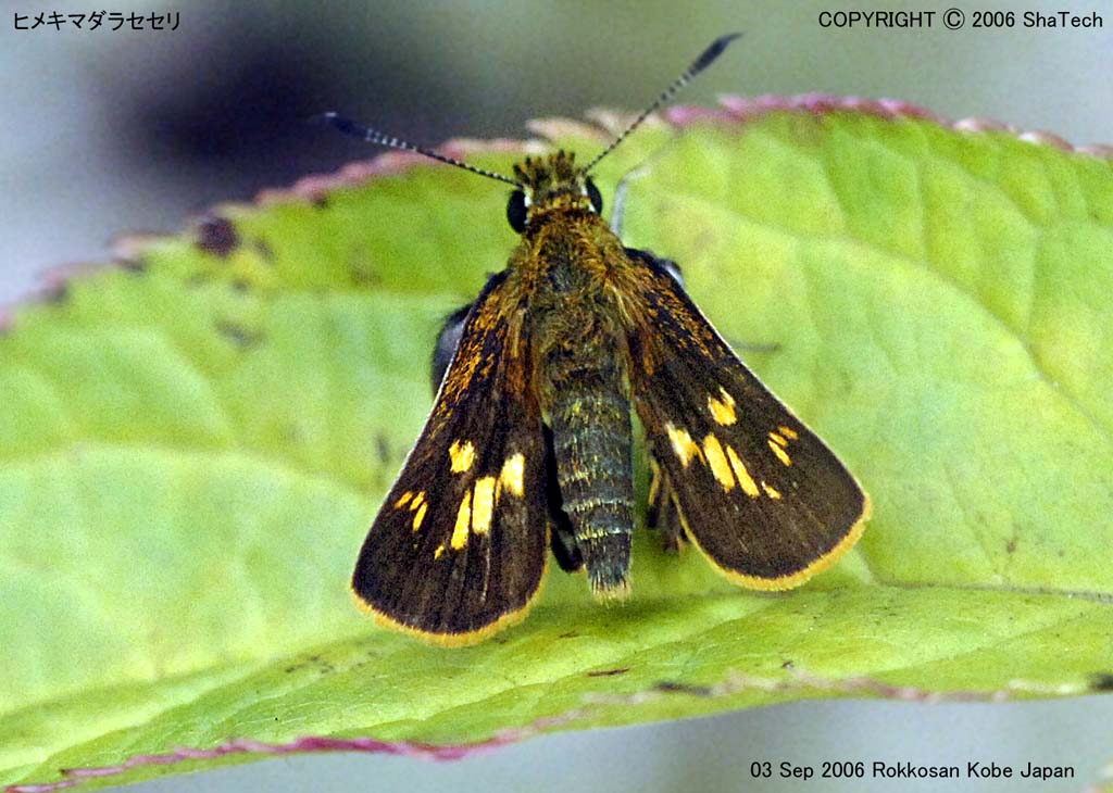 �q���L�}�_���Z�Z���X�X�O�V