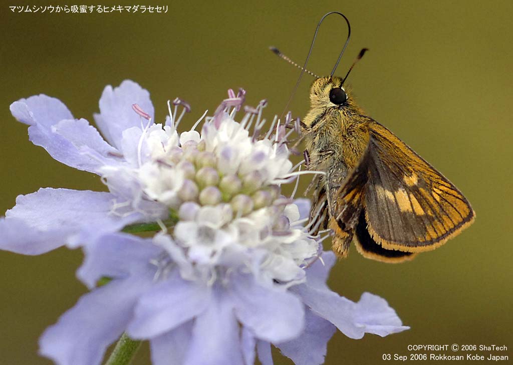 �q���L�}�_���Z�Z���X�X�Q�R