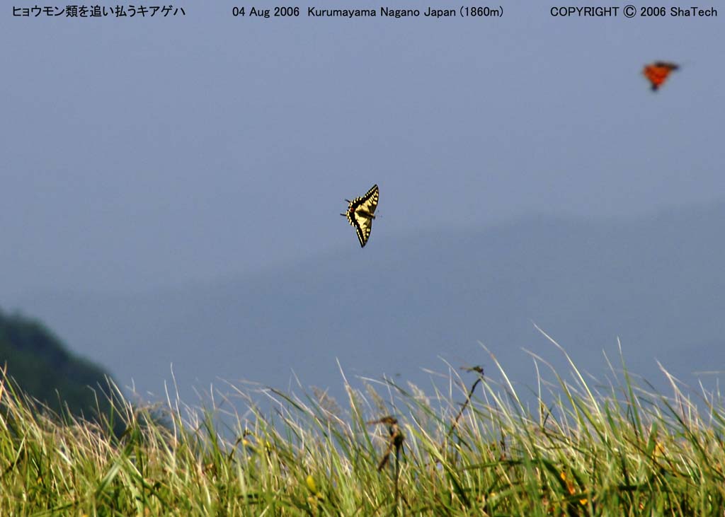 �L�A�Q�n8254