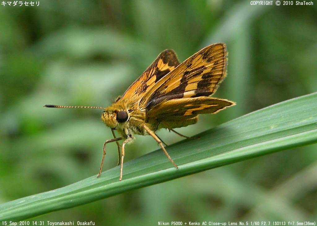 �L�}�_���Z�Z��