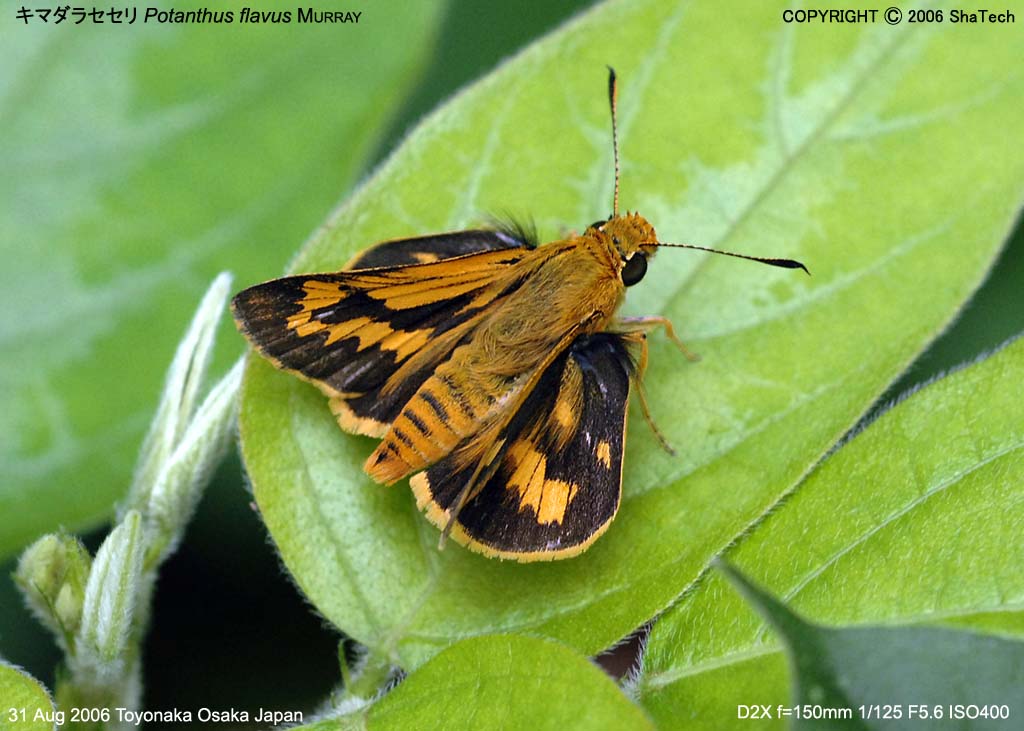 �L�}�_���Z�Z��9284