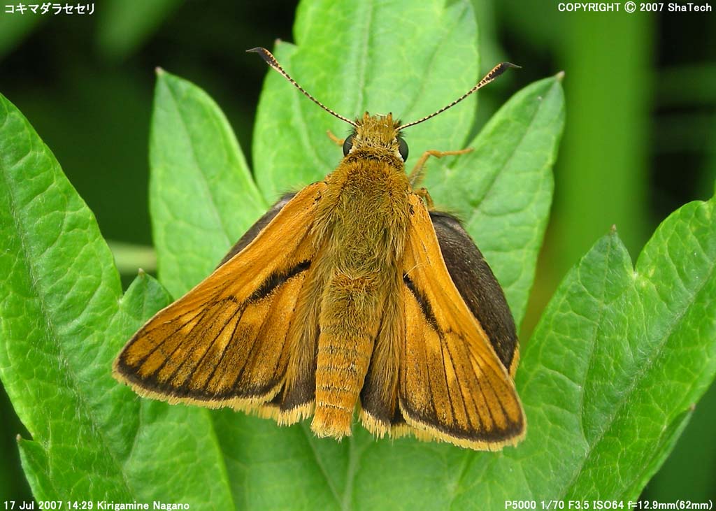 �R�L�}�_���Z�Z���U�P�R�Q