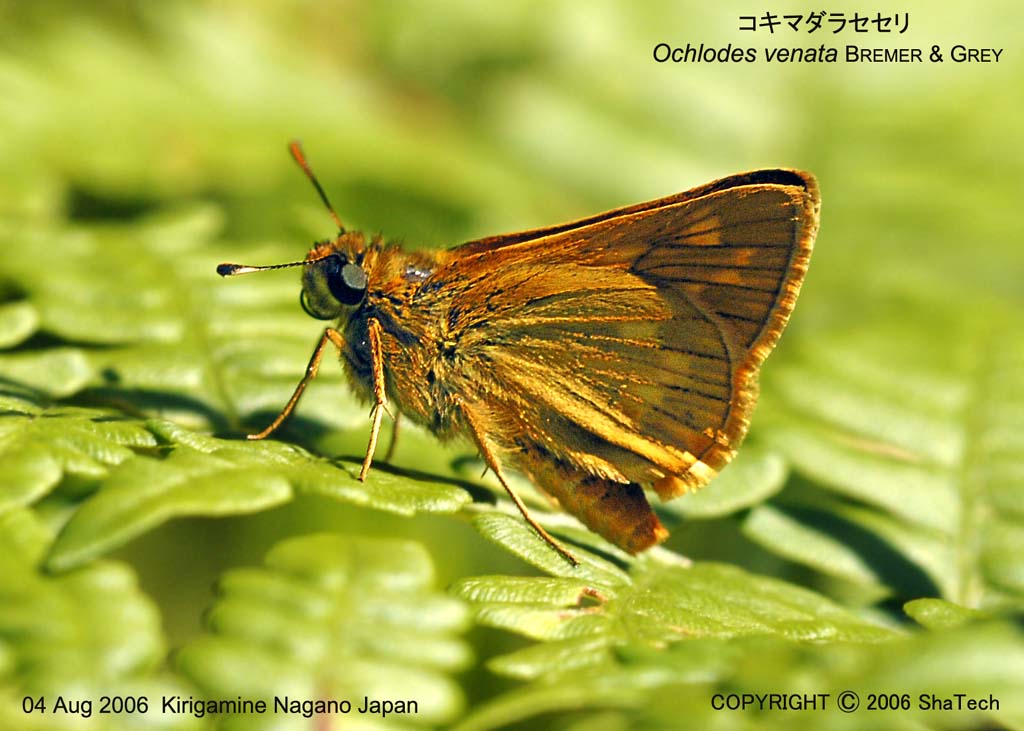 �R�L�}�_���Z�Z��8528