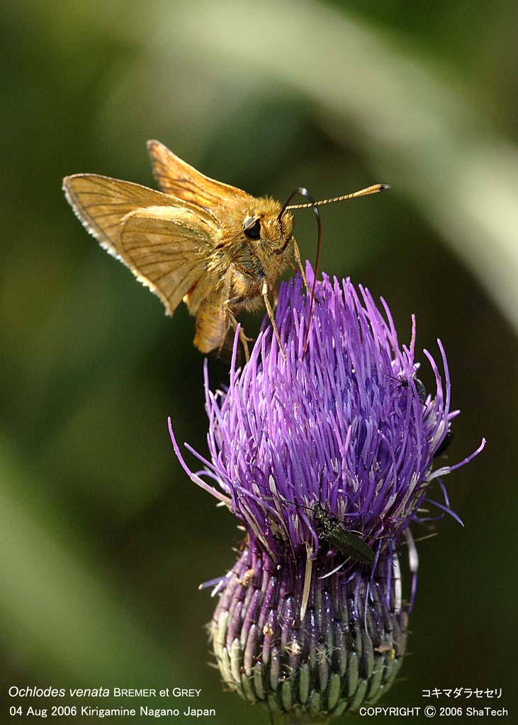 �R�L�}�_���Z�Z��8539