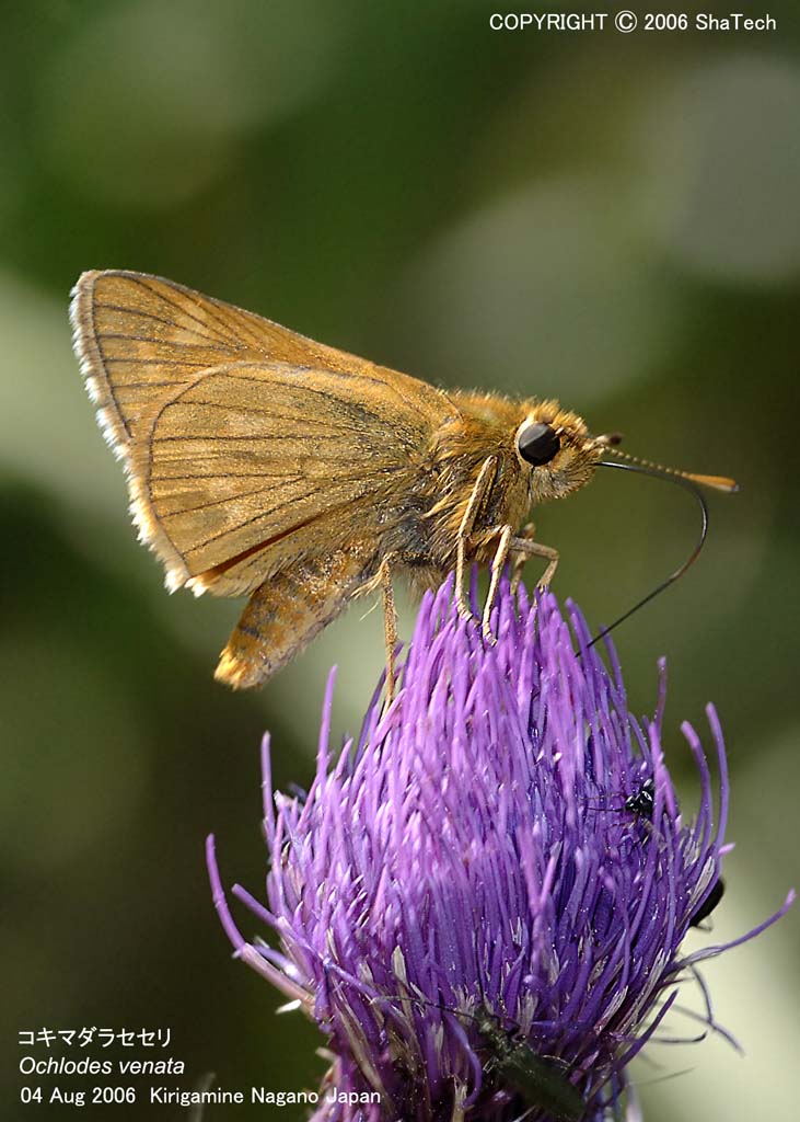 �R�L�}�_���Z�Z��8541