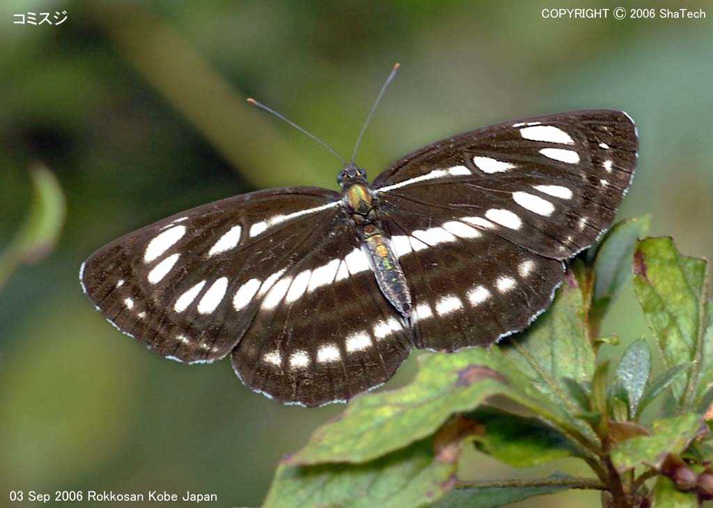 �R�~�X�W�X�V�W�R