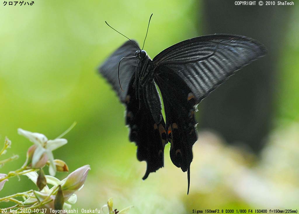 �N���A�Q�n