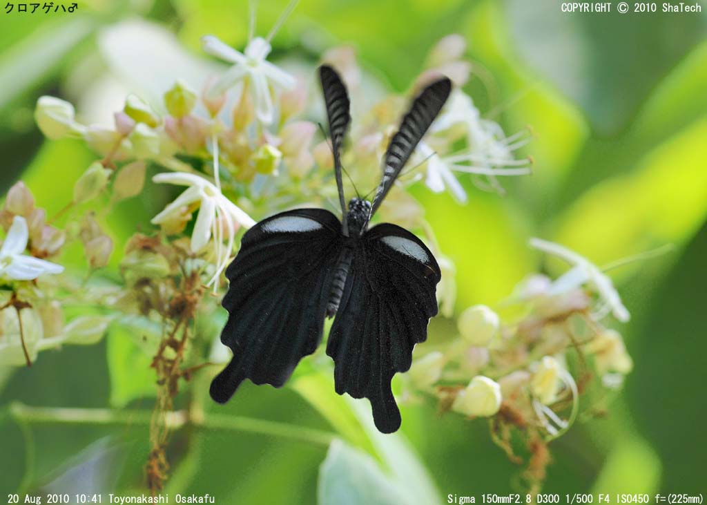 �N���A�Q�n