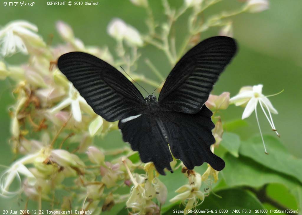 �N���A�Q�n