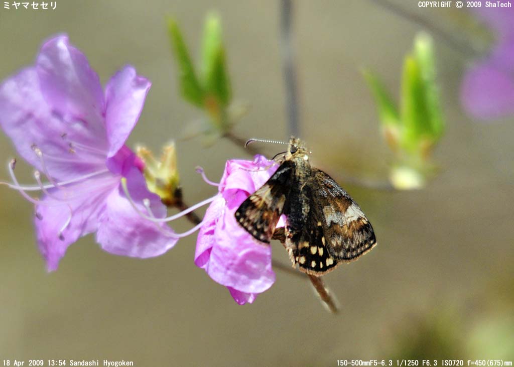 �~���}�Z�Z��