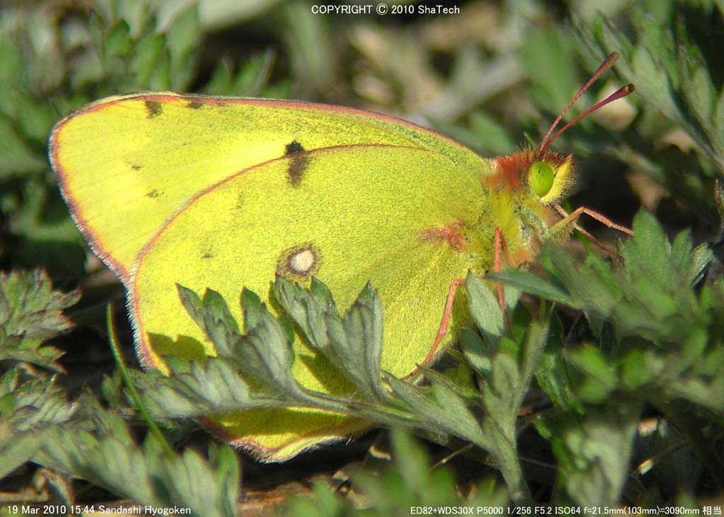 �����L�`���E