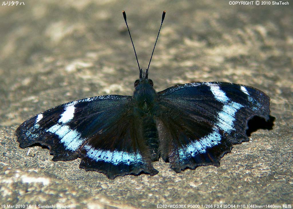 �����^�e�n