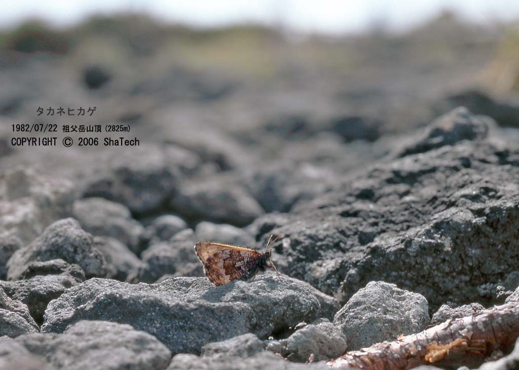 �^�J�l�q�J�Q�P