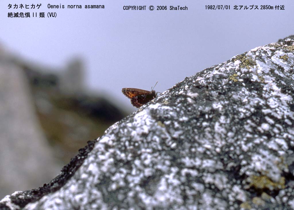 �^�J�l�q�J�Q�R