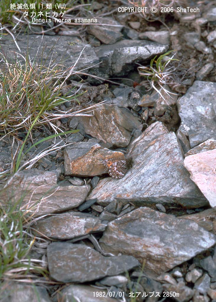 �^�J�l�q�J�Q�S