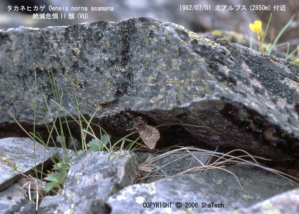 �^�J�l�q�J�Q�T