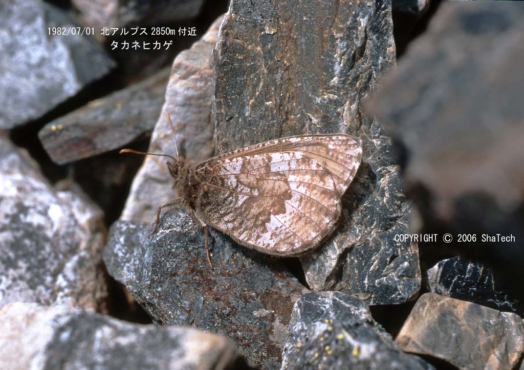 �^�J�l�q�J�Q�V