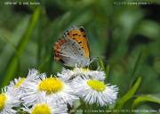 �x�j�V�W�~