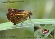 �q���L�}�_���Z�Z��