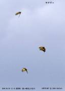 �L�A�Q�n����