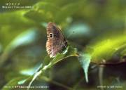 �R�W���m��