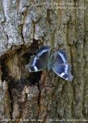 �����^�e�n