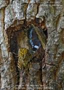 �T�g�L�}�_���q�J�Q/�����^�e�n