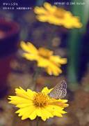 ���}�g�V�W�~