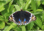 �A�I�^�e�n���h�L