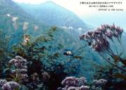 �A�T�M�}�_���ؖ�����