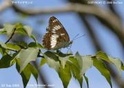 �A�T�}�C�`�����W�X�V�R�R