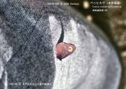 �x�j�q�J�Q�P