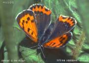 �x�j�V�W�~