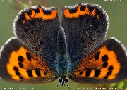 �x�j�V�W�~