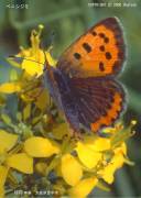 �x�j�V�W�~