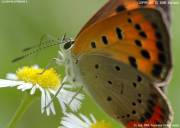 �x�j�V�W�~�X�T�R�S