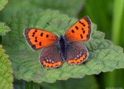 �x�j�V�W�~